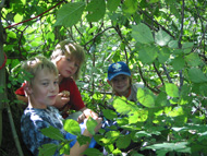 Teufelsgraben Seeham